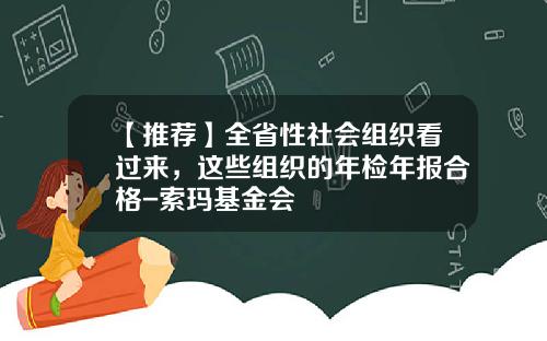 【推荐】全省性社会组织看过来，这些组织的年检年报合格-索玛基金会