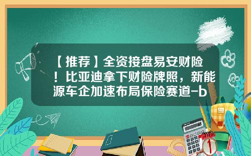 【推荐】全资接盘易安财险！比亚迪拿下财险牌照，新能源车企加速布局保险赛道-byd被哪个公司收购
