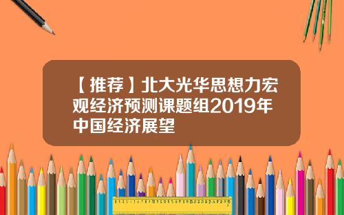 【推荐】北大光华思想力宏观经济预测课题组2019年中国经济展望