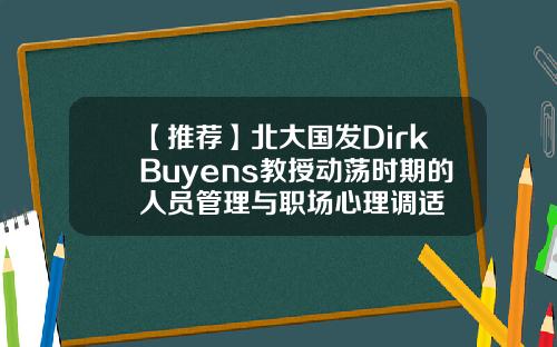 【推荐】北大国发DirkBuyens教授动荡时期的人员管理与职场心理调适
