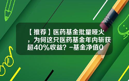 【推荐】医药基金批量哑火,为何这只医药基金年内斩获超40%收益?-基金净值001417