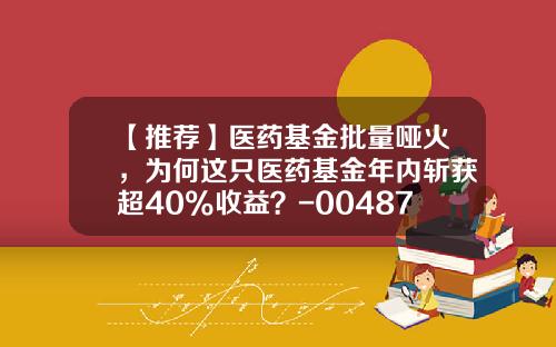 【推荐】医药基金批量哑火，为何这只医药基金年内斩获超40%收益？-004877基金