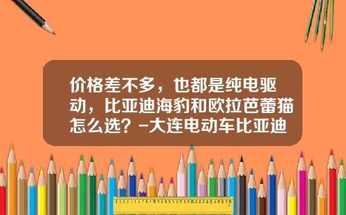 价格差不多，也都是纯电驱动，比亚迪海豹和欧拉芭蕾猫怎么选？-大连电动车比亚迪多少钱