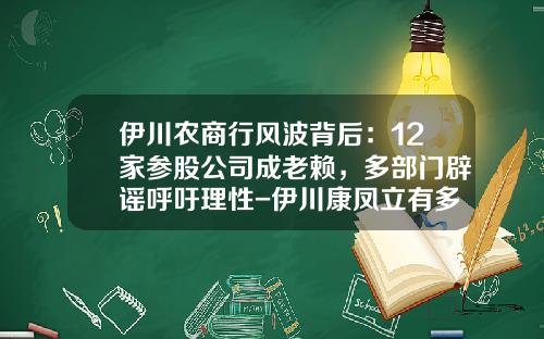 伊川农商行风波背后：12家参股公司成老赖，多部门辟谣呼吁理性-伊川康凤立有多少好车