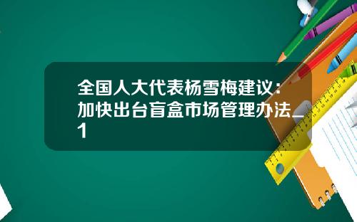 全国人大代表杨雪梅建议:加快出台盲盒市场管理办法_1