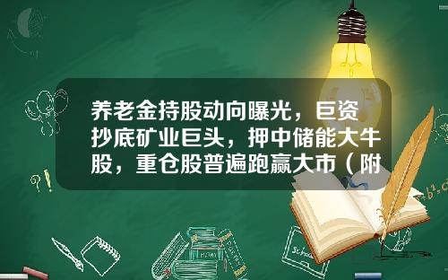 养老金持股动向曝光，巨资抄底矿业巨头，押中储能大牛股，重仓股普遍跑赢大市（附名单）-年底买什么基金