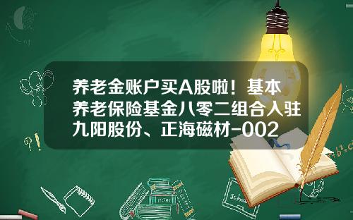 养老金账户买A股啦！基本养老保险基金八零二组合入驻九阳股份、正海磁材-002242基金