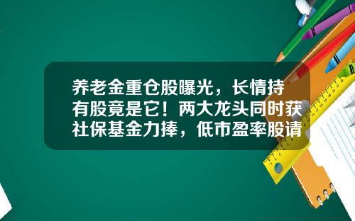 养老金重仓股曝光,长情持有股竟是它!两大龙头同时获社保基金力捧,低市盈率股请收藏-养老指数基金