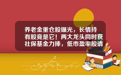 养老金重仓股曝光，长情持有股竟是它！两大龙头同时获社保基金力捧，低市盈率股请收藏-基金持仓个股