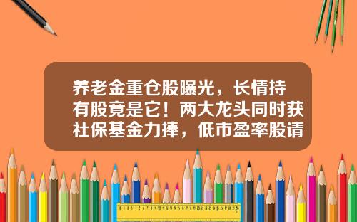 养老金重仓股曝光，长情持有股竟是它！两大龙头同时获社保基金力捧，低市盈率股请收藏-服务好实力强的股票资讯