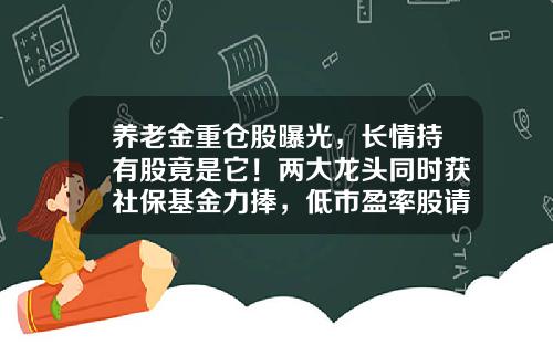 养老金重仓股曝光，长情持有股竟是它！两大龙头同时获社保基金力捧，低市盈率股请收藏-电器基金