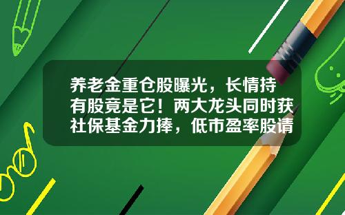养老金重仓股曝光，长情持有股竟是它！两大龙头同时获社保基金力捧，低市盈率股请收藏-社保基金炒股