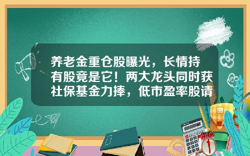 养老金重仓股曝光，长情持有股竟是它！两大龙头同时获社保基金力捧，低市盈率股请收藏-社保基金组合