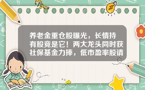 养老金重仓股曝光，长情持有股竟是它！两大龙头同时获社保基金力捧，低市盈率股请收藏-股票投资最好的资讯