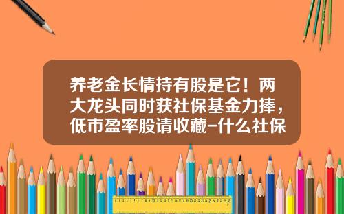 养老金长情持有股是它！两大龙头同时获社保基金力捧，低市盈率股请收藏-什么社保基金存款
