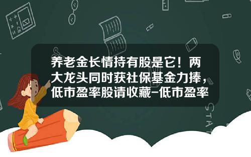 养老金长情持有股是它！两大龙头同时获社保基金力捧，低市盈率股请收藏-低市盈率基金