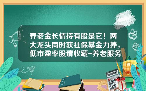 养老金长情持有股是它！两大龙头同时获社保基金力捧，低市盈率股请收藏-养老服务最新资讯股票代码