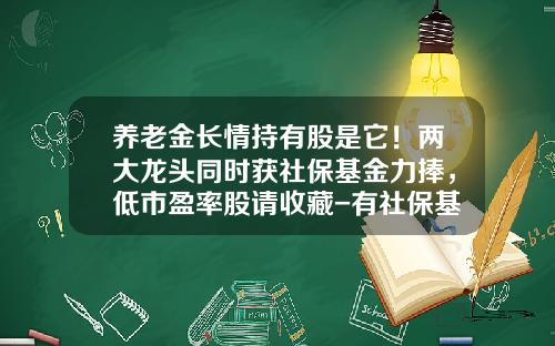 养老金长情持有股是它！两大龙头同时获社保基金力捧，低市盈率股请收藏-有社保基金的股票