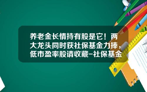 养老金长情持有股是它！两大龙头同时获社保基金力捧，低市盈率股请收藏-社保基金投资股票