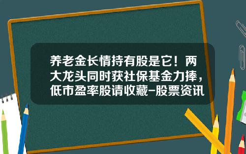 养老金长情持有股是它！两大龙头同时获社保基金力捧，低市盈率股请收藏-股票资讯微信有哪些
