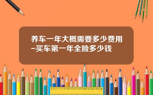 养车一年大概需要多少费用-买车第一年全险多少钱