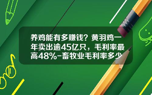养鸡能有多赚钱？黄羽鸡一年卖出逾45亿只，毛利率最高48%-畜牧业毛利率多少合适