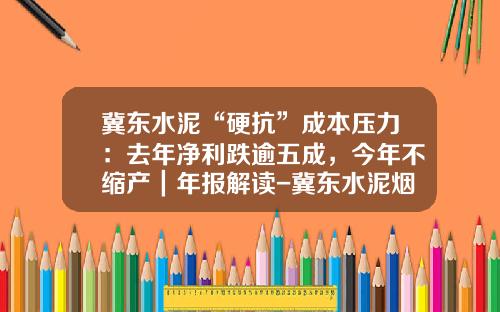 冀东水泥“硬抗”成本压力：去年净利跌逾五成，今年不缩产｜年报解读-冀东水泥烟台公司