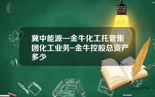 冀中能源—金牛化工托管集团化工业务-金牛控股总资产多少