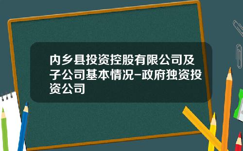 内乡县投资控股有限公司及子公司基本情况-政府独资投资公司