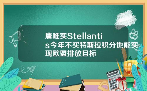 唐唯实Stellantis今年不买特斯拉积分也能实现欧盟排放目标