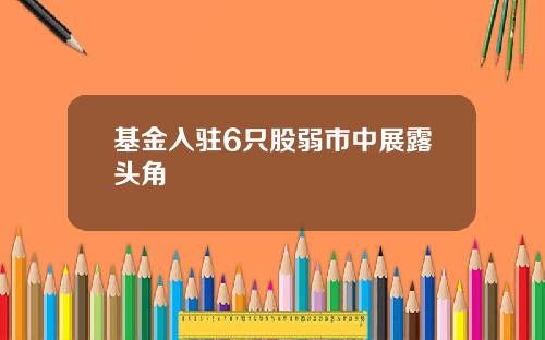 基金入驻6只股弱市中展露头角