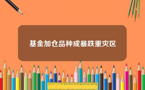基金加仓品种成暴跌重灾区