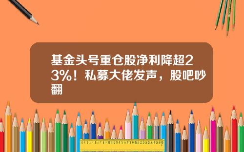 基金头号重仓股净利降超23%！私募大佬发声，股吧吵翻