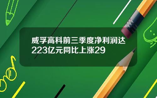 威孚高科前三季度净利润达223亿元同比上涨29