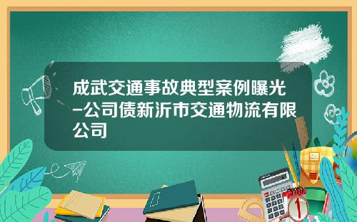 成武交通事故典型案例曝光-公司债新沂市交通物流有限公司