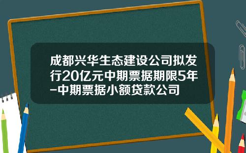 成都兴华生态建设公司拟发行20亿元中期票据期限5年-中期票据小额贷款公司