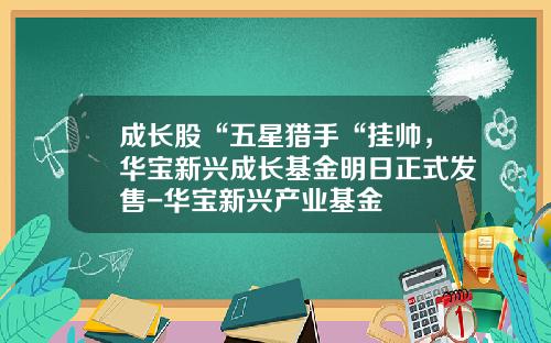 成长股“五星猎手“挂帅，华宝新兴成长基金明日正式发售-华宝新兴产业基金
