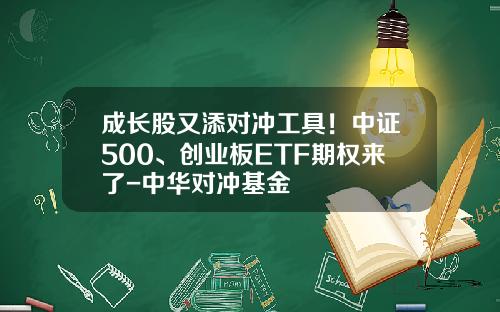 成长股又添对冲工具！中证500、创业板ETF期权来了-中华对冲基金