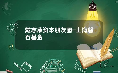 戴志康资本朋友圈-上海磐石基金