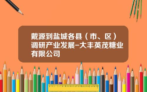 戴源到盐城各县（市、区）调研产业发展-大丰英茂糖业有限公司