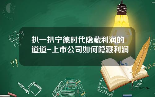 扒一扒宁德时代隐藏利润的道道-上市公司如何隐藏利润