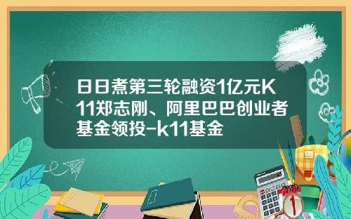 日日煮第三轮融资1亿元K11郑志刚、阿里巴巴创业者基金领投-k11基金