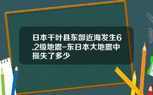 日本千叶县东部近海发生6.2级地震-东日本大地震中损失了多少