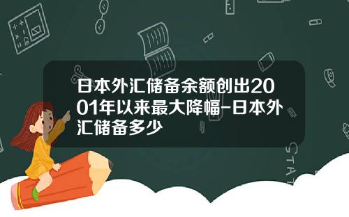 日本外汇储备余额创出2001年以来最大降幅-日本外汇储备多少