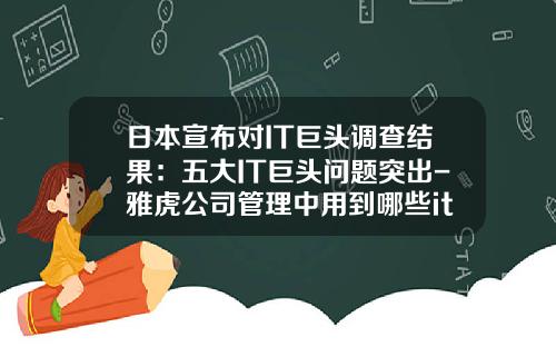 日本宣布对IT巨头调查结果：五大IT巨头问题突出-雅虎公司管理中用到哪些it技术