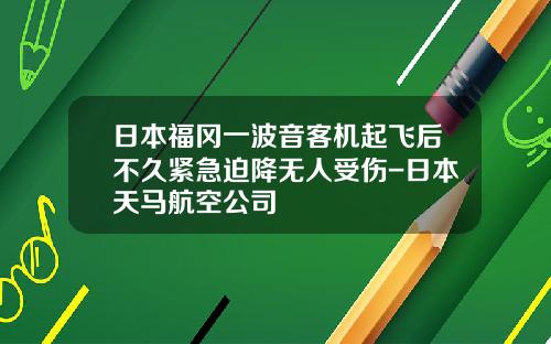 日本福冈一波音客机起飞后不久紧急迫降无人受伤-日本天马航空公司