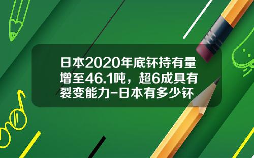 日本2020年底钚持有量增至46.1吨，超6成具有裂变能力-日本有多少钚