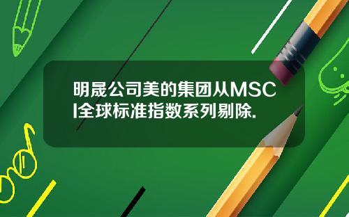 明晟公司美的集团从MSCI全球标准指数系列剔除.