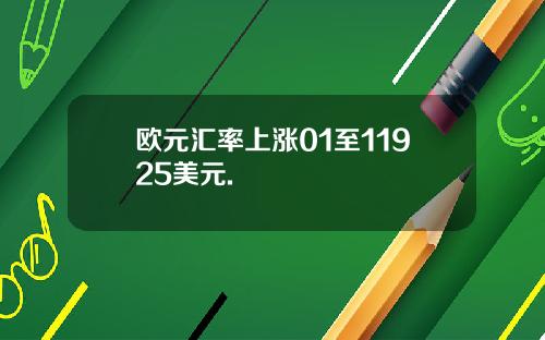 欧元汇率上涨01至11925美元.