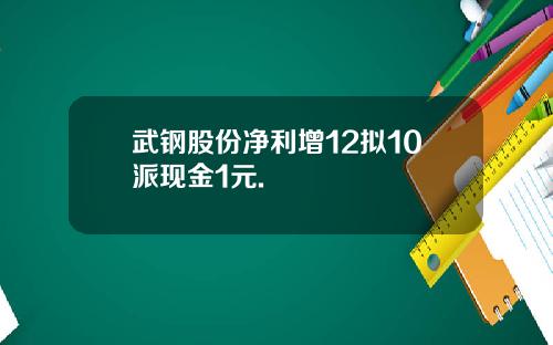 武钢股份净利增12拟10派现金1元.